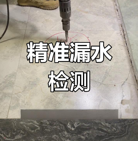微信预约与联系信息展示